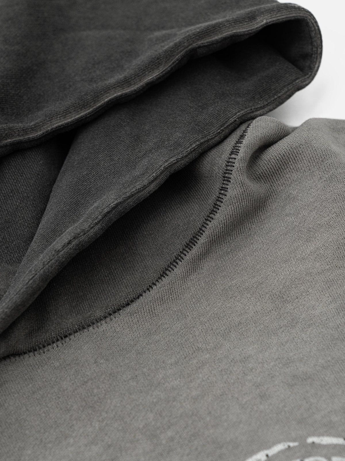 Fvshya Blurring Cherry Washed Hoodie